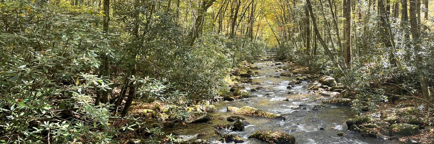 RichardJohnston banner