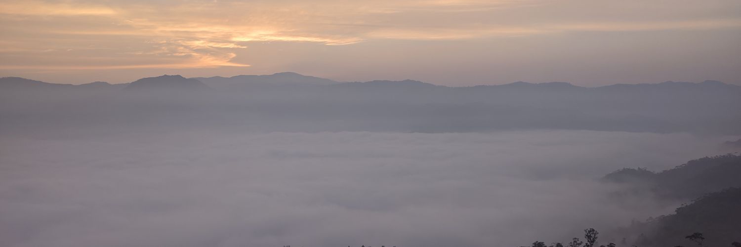 RBilowo's profile banner image