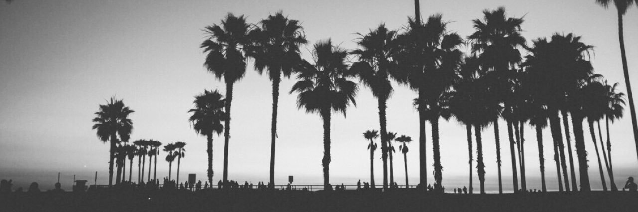 cuddlemetria's profile banner image