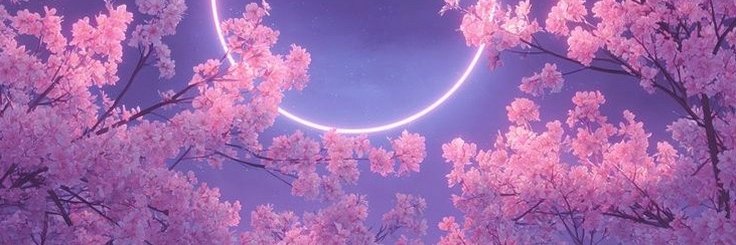 CassebDebora's profile banner image