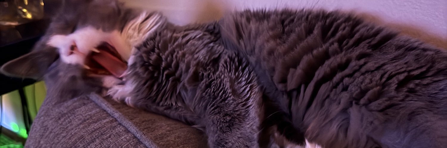 ToastyyTM's profile banner image