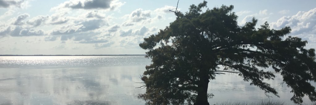 paulfuredi's profile banner image
