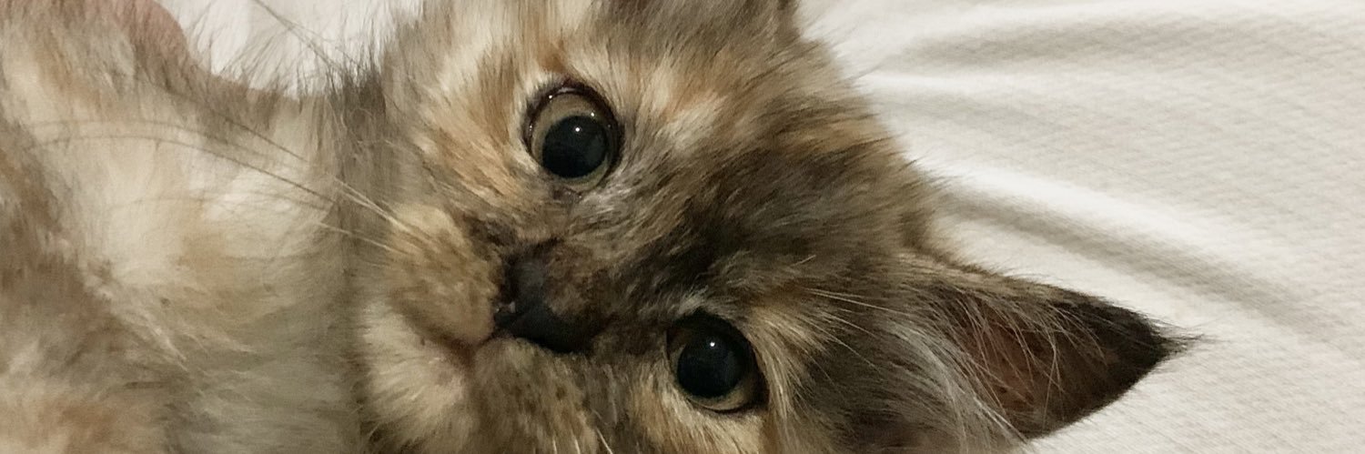 B banner