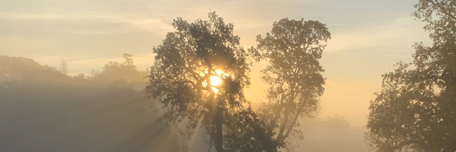 Charles Desmarais 🦋 banner