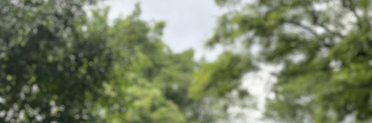Hugo_Enrique44's profile banner image