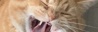 MasterQueefer's profile banner image