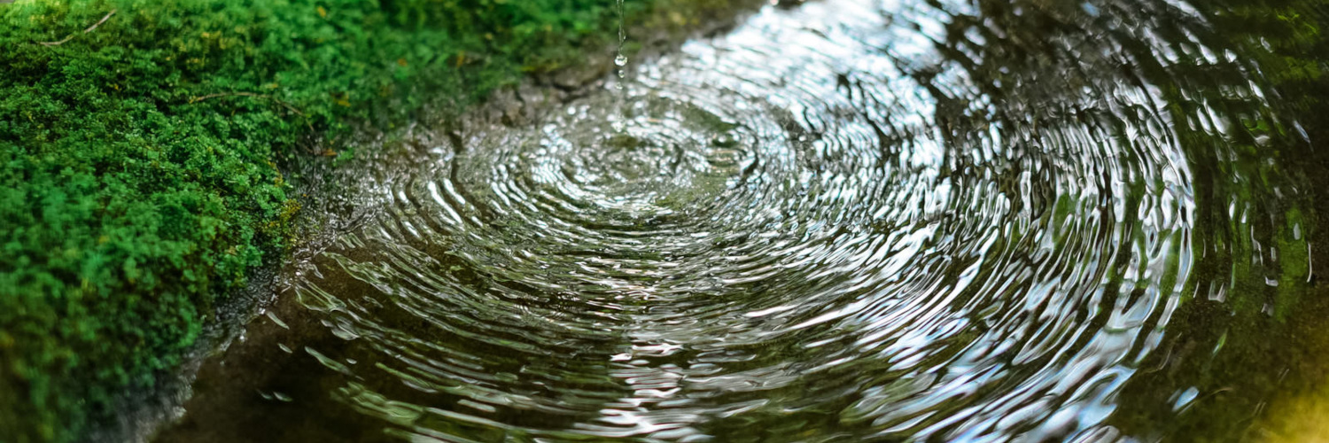 2026年=令和8年=午年🐎 banner