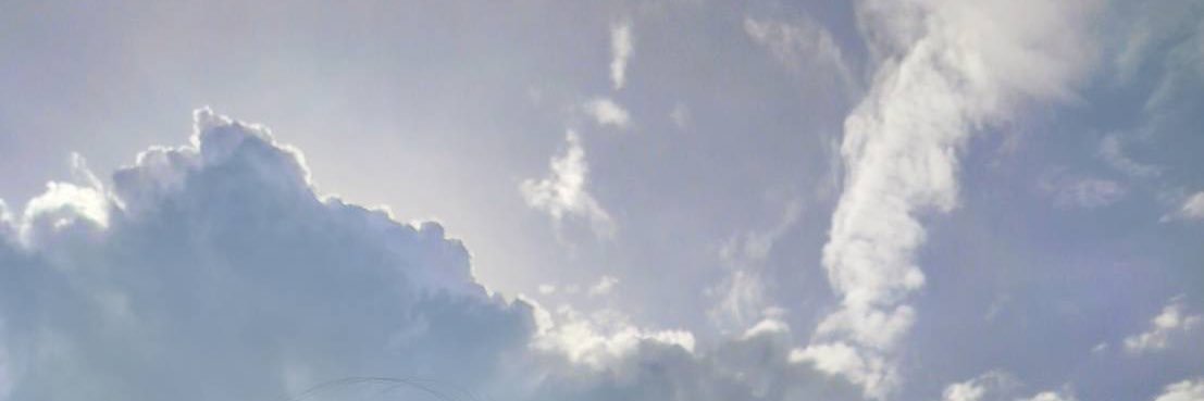 ppplinn banner