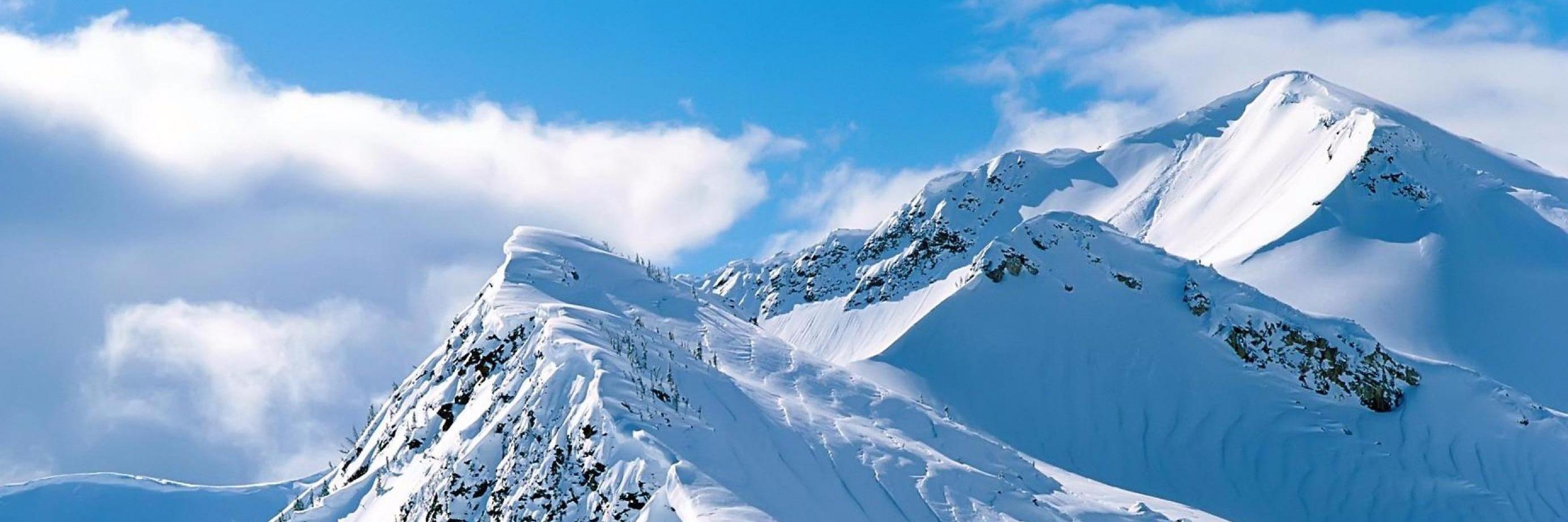 James O'Reilly banner