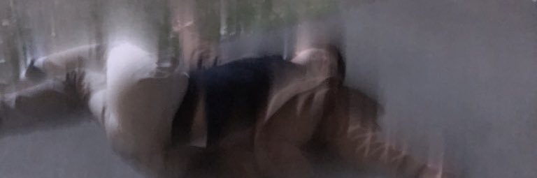 すたろあ banner