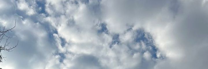 DhewyHooligans's profile banner image