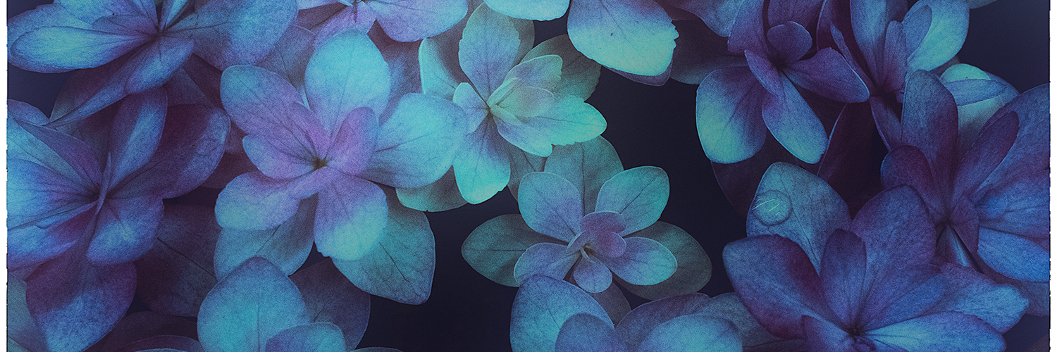NEE420's profile banner image
