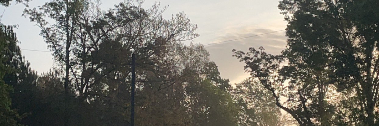 taylorbrodnax's profile banner image