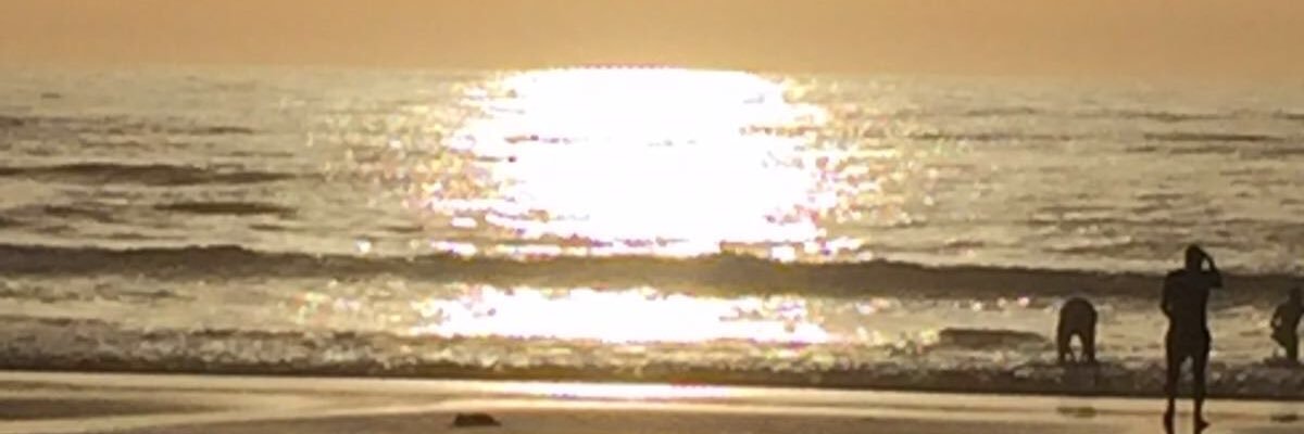 apachecm's profile banner image