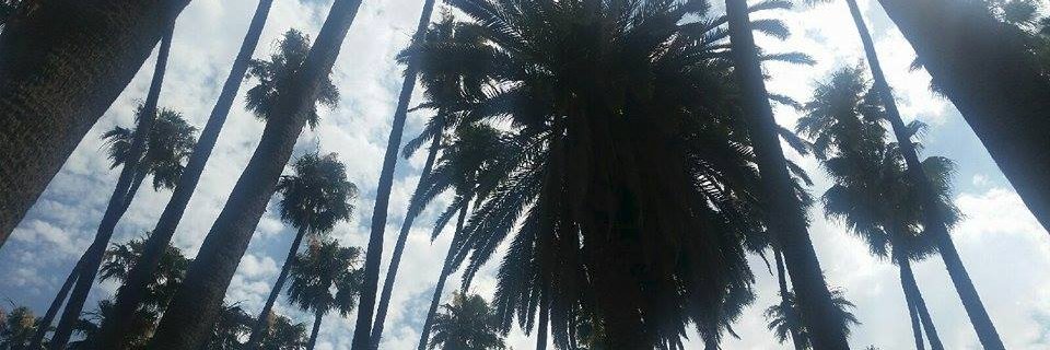crystaljeanred's profile banner image