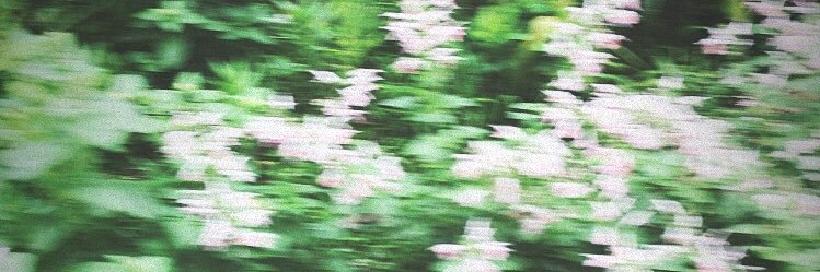 china2yade's profile banner image