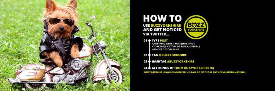 BUZZYORKSHIRE banner