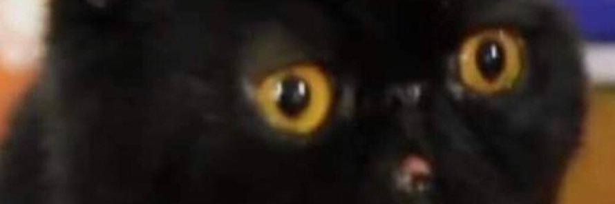 MaciasChih's profile banner image