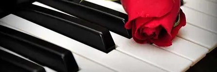 shadiyaa's profile banner image