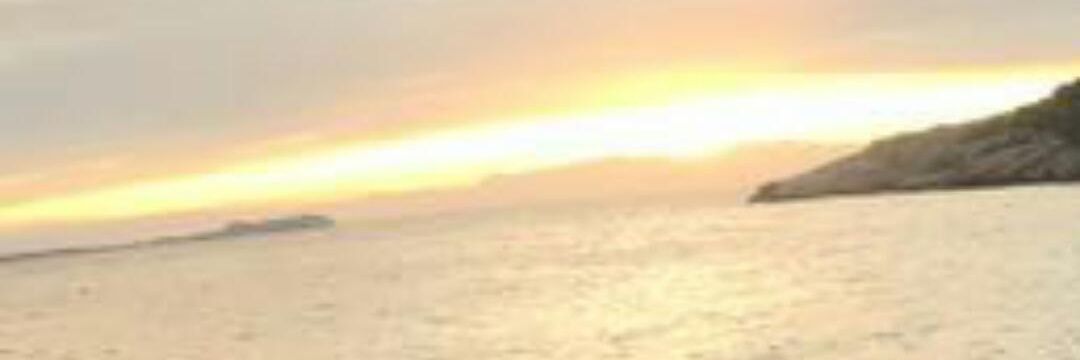 Celiaa_FG's profile banner image