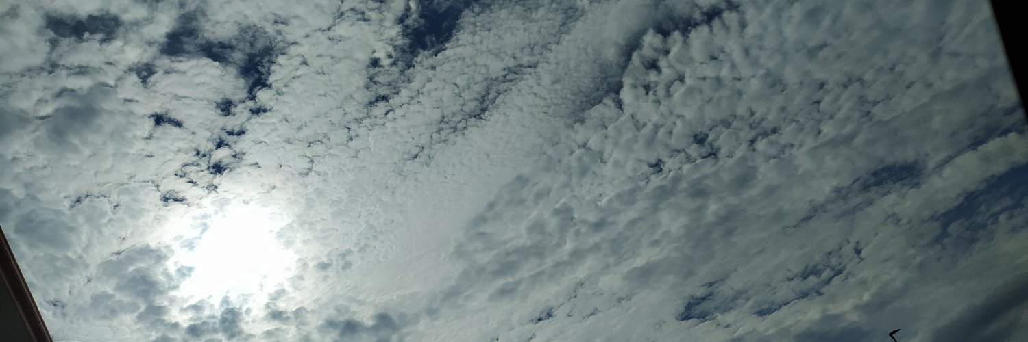 benssamu's profile banner image