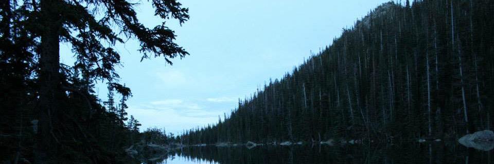 K_Sealer's profile banner image