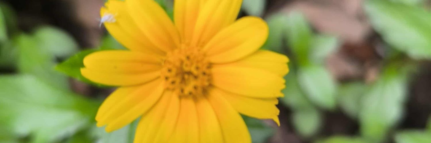 JustinDHolliday's profile banner image