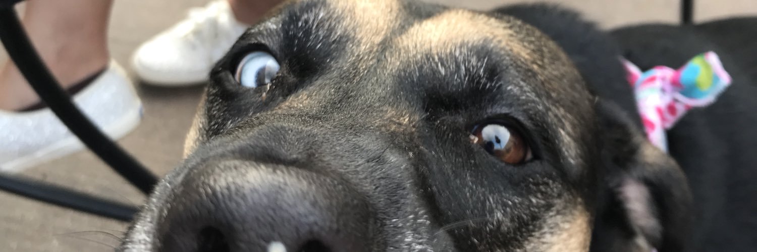 P1 Mark (MMMMORK) from Tulsa banner