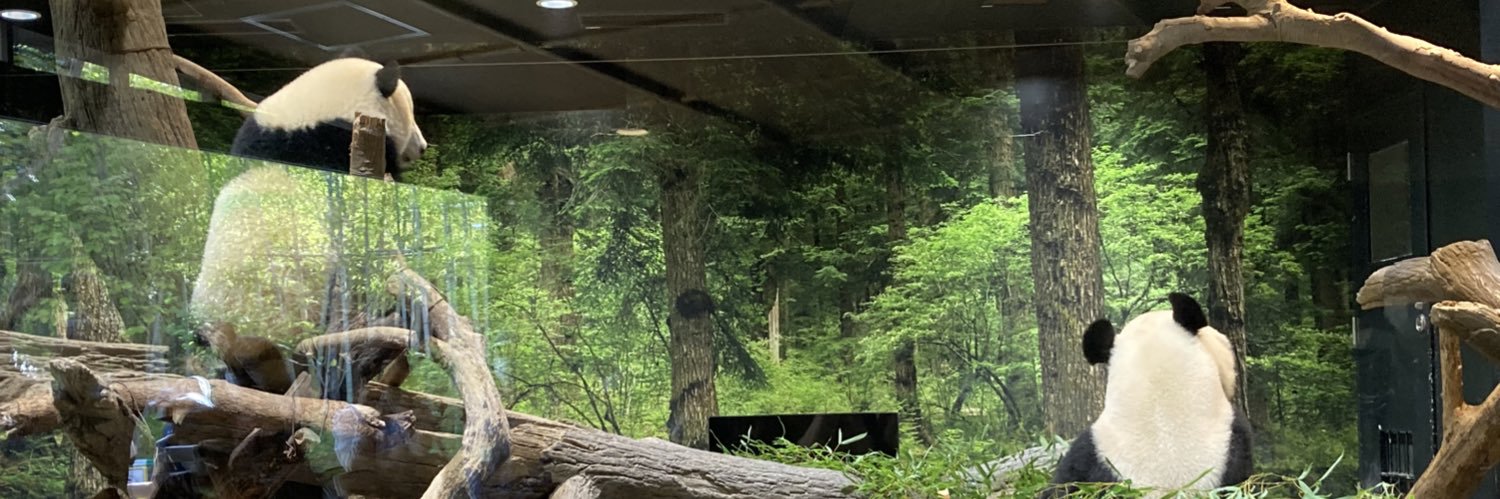 m__nghnt's profile banner image
