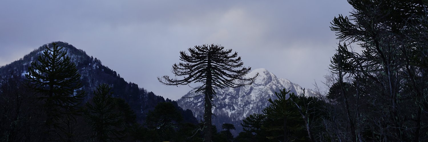 Observatorio Ciudadano banner