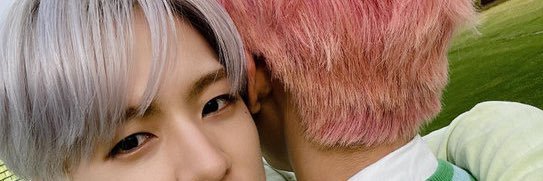 nml (.◜◡◝ ) banner