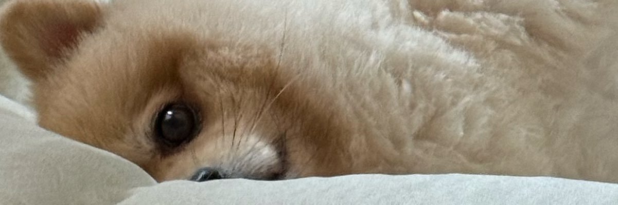 kabgap's profile banner image