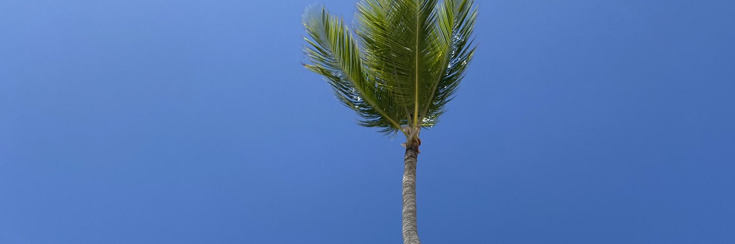 manuhepi's profile banner image