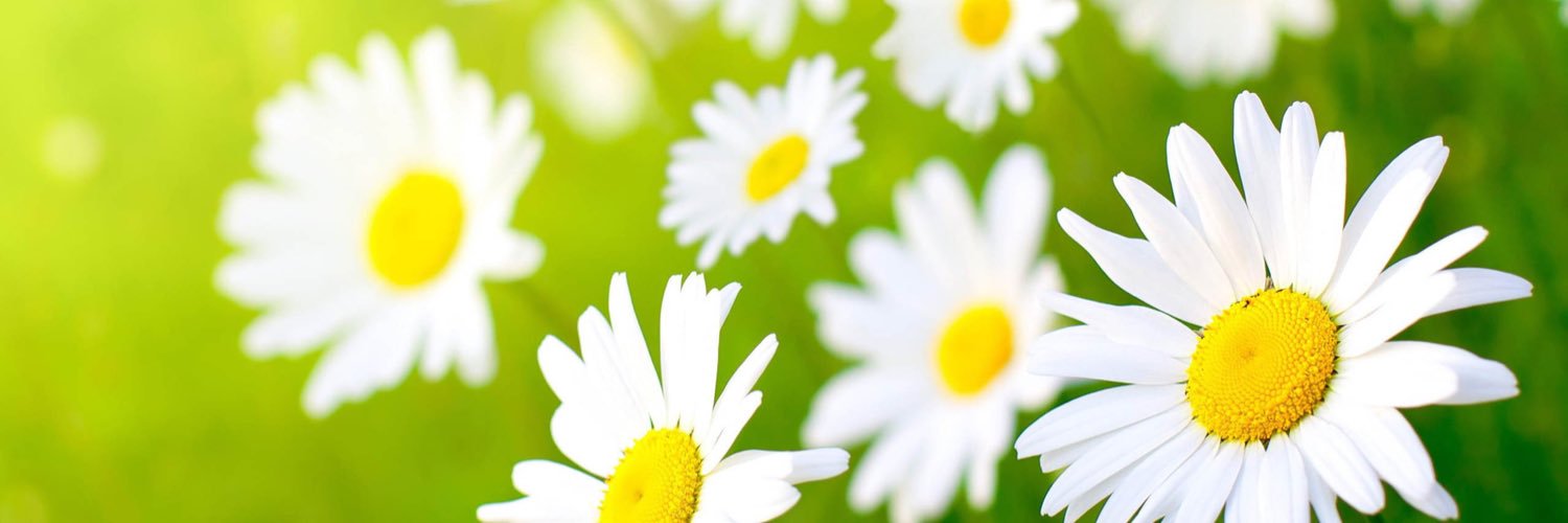 joni_shawforney's profile banner image