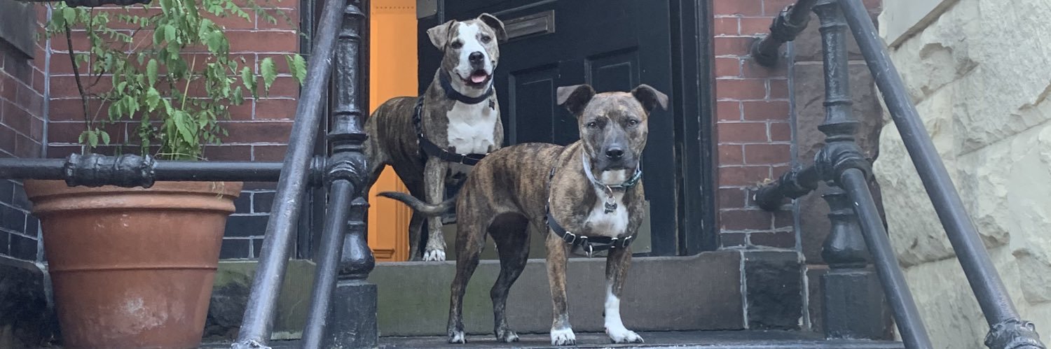 PeteWag's profile banner image