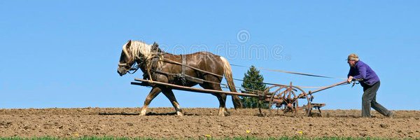RusticusArat Profile Banner
