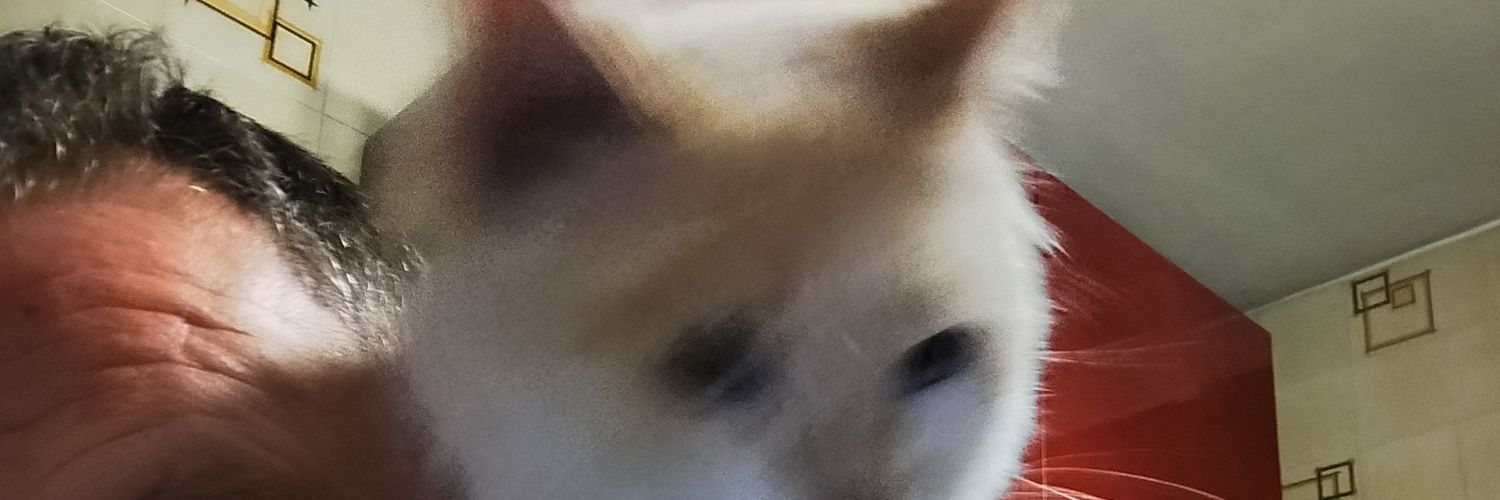 FrancescoMorin8's profile banner image