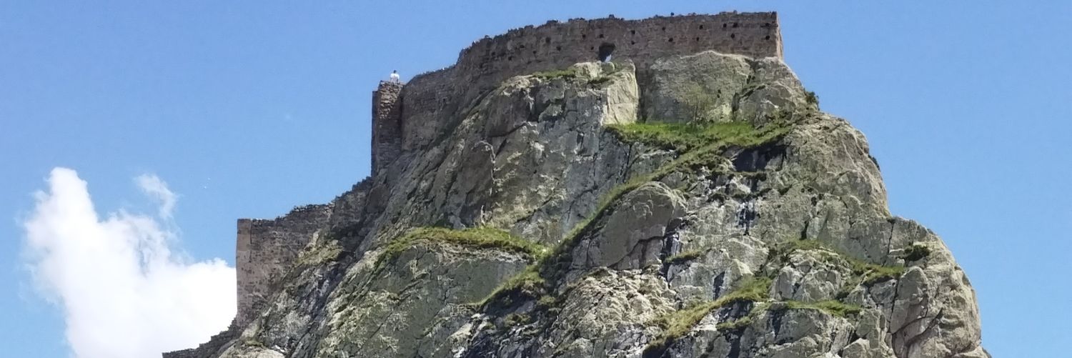 alikralar's profile banner image