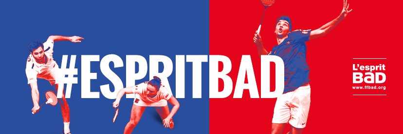 Ligue Badminton PDL banner