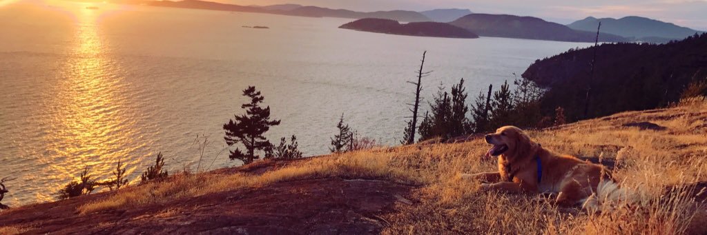 Mitchdavis50's profile banner image