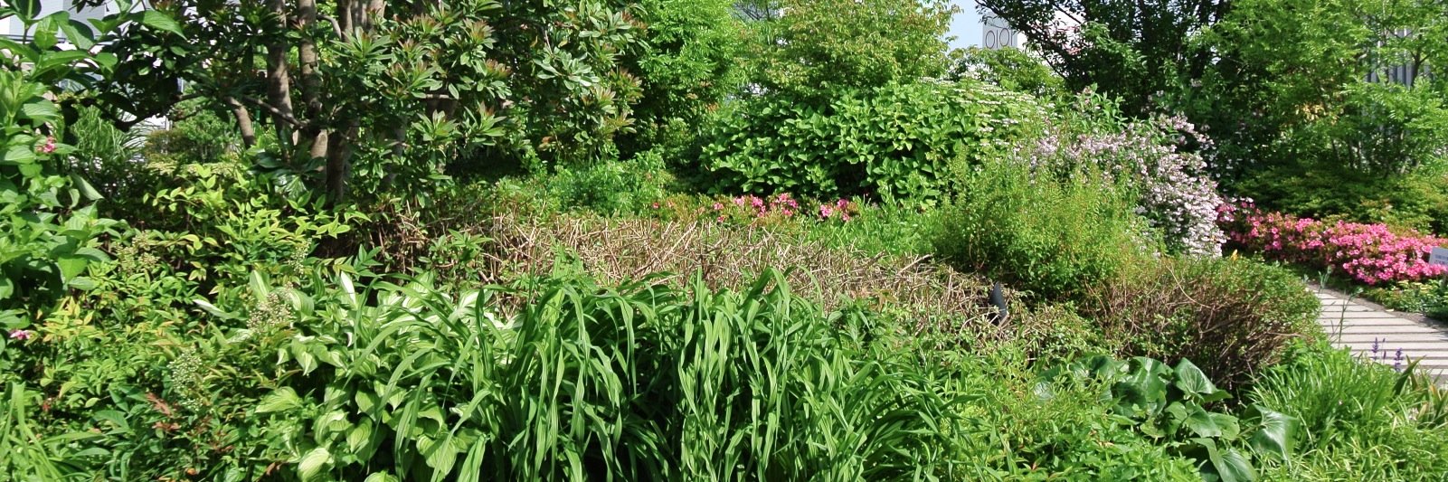 チロル＆かこ banner