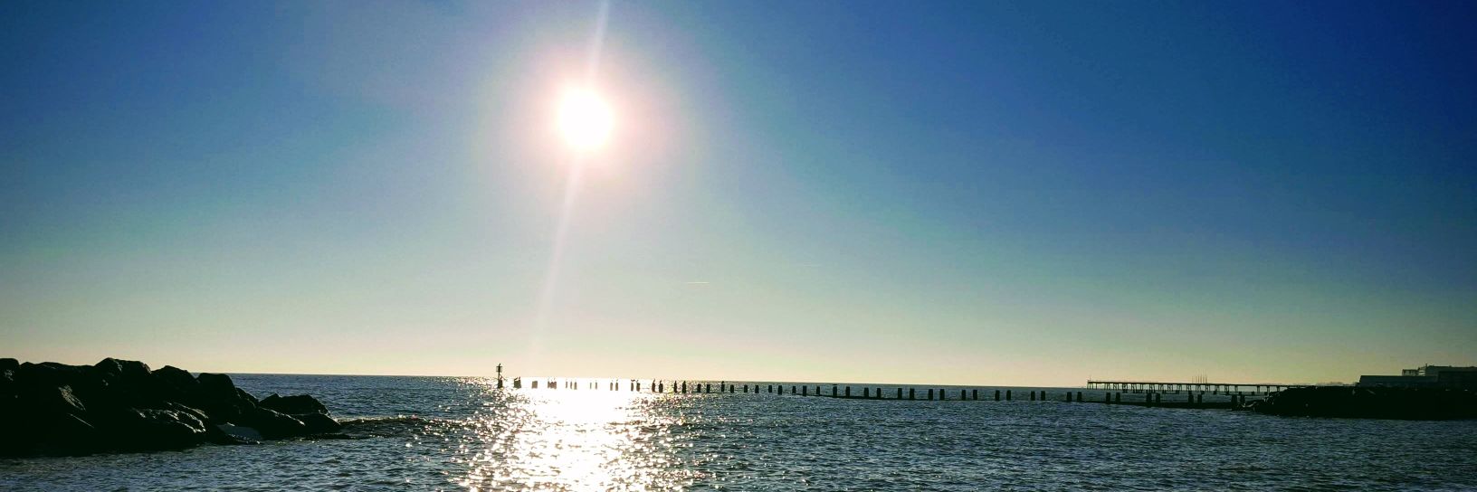 Adam Billiald banner