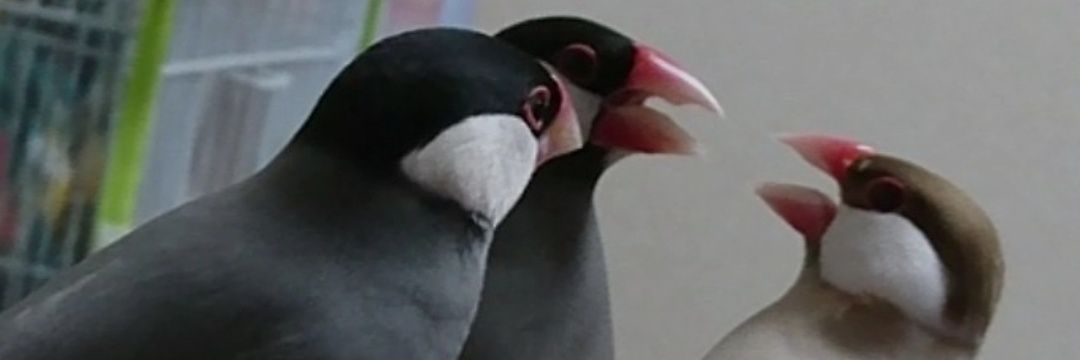 reito7226's profile banner image