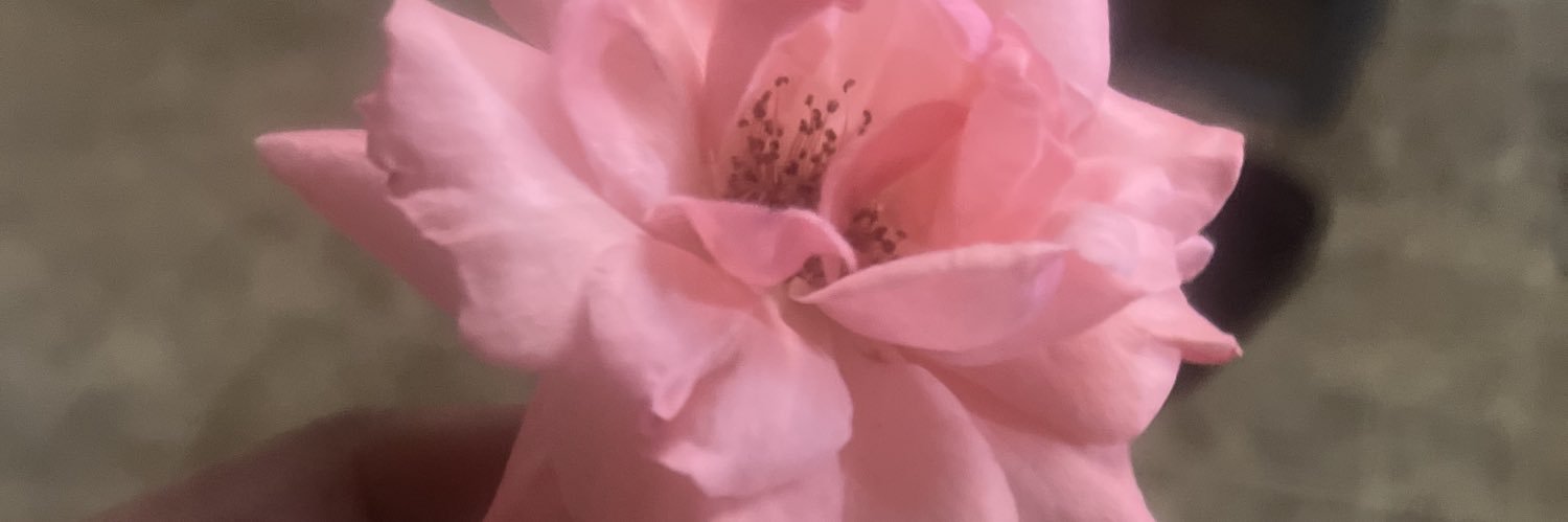 MichelleSwopes's profile banner image