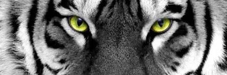 riyan_pepy's profile banner image