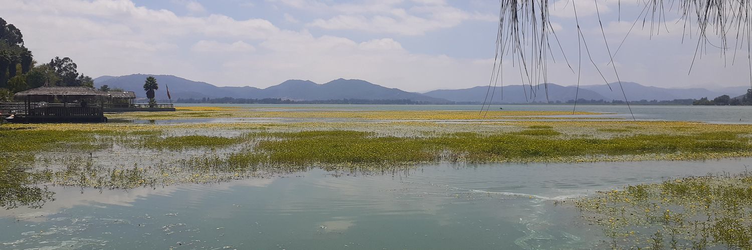 Asalgado DÍAZ banner