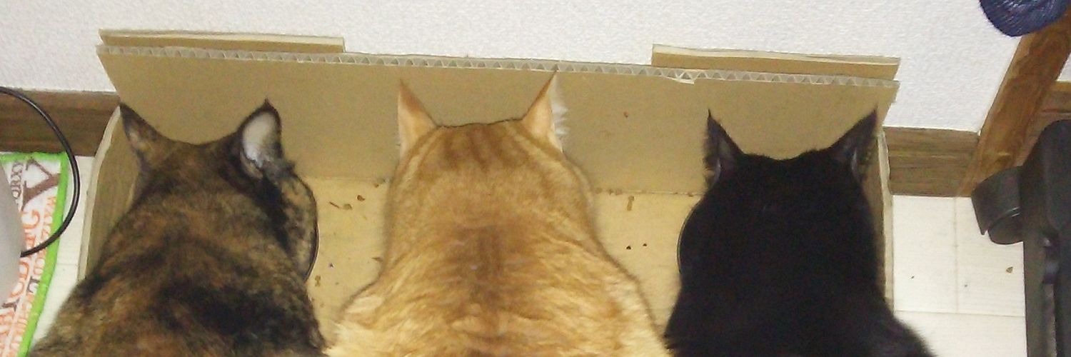 Nyanx3K's profile banner image