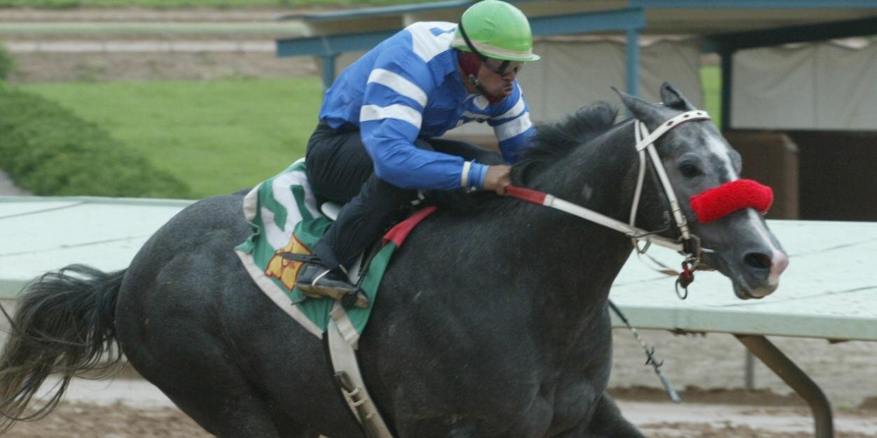 baryequine's profile banner image
