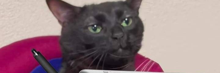Michifluzz's profile banner image