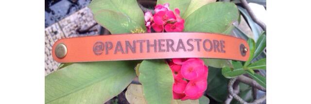 PantheraStore's profile banner image
